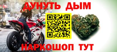 индика Заводоуковск