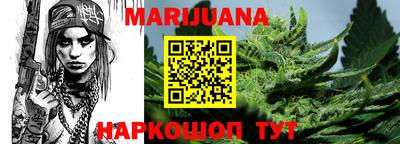 индика Заводоуковск