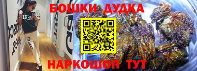индика Заводоуковск