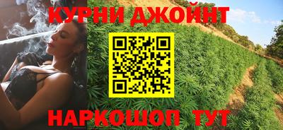 индика Заводоуковск