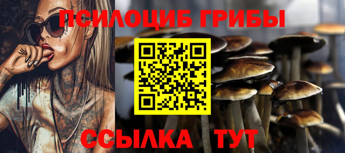 Набережные Челны  Галлюциногенные грибы MAGIC MUSHROOMS  Вход с VPN  Галлюциногенные грибы прущие грибы 
